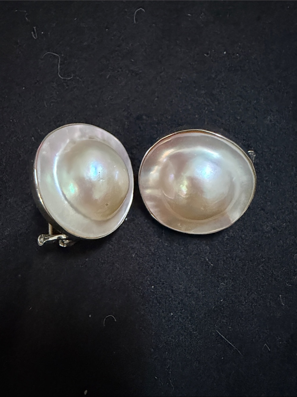 Source Unknown Iridescent Shell Clip-On Earrings - Cream Pearlescent